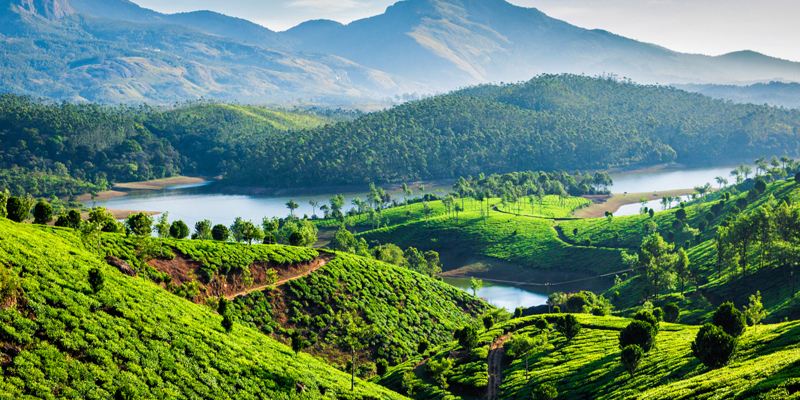 Munnar Tour